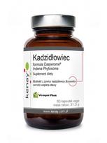 KENAY Frankincense Casperome Indena Phytosome - ekstraktas (60 kapsulių).