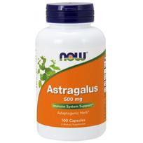NOW FOODS Astragalus - Astragalus 500 mg (100 kapsulių)