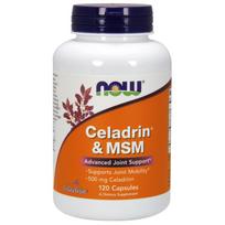 NOW FOODS Celadrinas 500 mg ir MSM 100 mg (120 kapsulių)