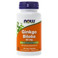 NOW FOODS Ginkgo Biloba ekstraktas - Ginkgo biloba (120 kapsulių)