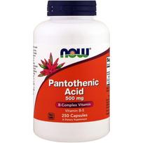 NOW FOODS Pantoteno rūgštis - Pantoteno rūgštis (vitaminas B5) 500 mg (250 kapsulių).