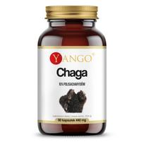 YANGO Chaga - 10 % polisacharidų ekstraktas (90 kapsulių).