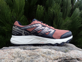 Salomon Wander GTX