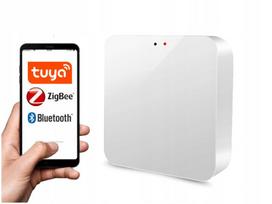 Išmanieji vartai ZigBee 3.0 Bluetooth Wi-Fi vartai TUYA SMART LIFE