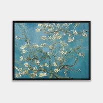 Plakatas Migdolo žydėjimas, V. van Goghas