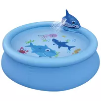 Baseinas su purškimo funkcija Shark