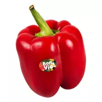 Raudonosios paprikos BON VIA