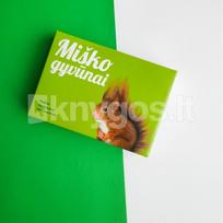 Miško gyvūnai. Lavinamųjų kortelių rinkinys