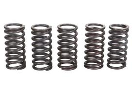 Sankabos spyruoklės Tinka: HUSQVARNA 610, 610E, 610ie, 610R, 610S; SUZUKI 250 (Marauder), 250 (Intruder), 250LC (Intruder); TRIUMPH 900, 750, 900Sup.III, 900 (Deluxe), 900TT, 900FT, 900ST, 900EFI