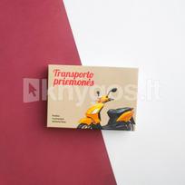 Transporto priemonės. Lavinamųjų kortelių rinkinys