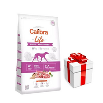 Calibra Dog Life Adult Large Breed Lamb 12kg + Staigmena ŠUNIUI