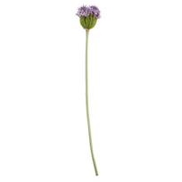 Dirbtinis augalas Česnako žiedas 91 cm violetinis 5011745923191