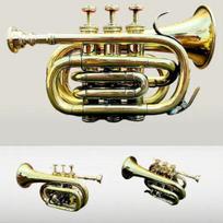 Senovinis jūrinis poliruotas trimitas studentams Muzikinis trimitas „Bugle Horn“.