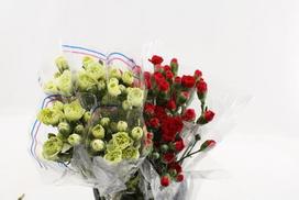 Skinta gėlė Gvazdikas smulkiažiedis, lot. Carnation spray