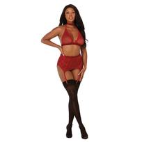 Dreamgirl Leg Avenue Fishnet & Lace 4-Piece Lingerie Set with Velvet Trim One Size