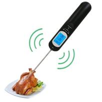 Daugiafunkcinis maisto termometras TP2201