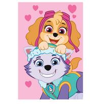 Fleece tipo vaikiškas pledas 100x150 cm Paw Patrol – Jerry Fabrics