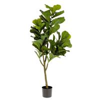 Dirbtinis fikusas (aukštis 150 cm) Lyrata – Kave Home