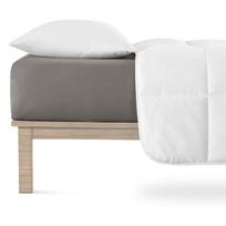 Paklodė iš jersey audinio tamsiai pilkos spalvos su guma 90x200 cm Boxspring – Andrea Simone