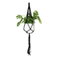 Iš tekstilės grandinėlė gėlių vazonams ø 13 cm (aukštis 100 cm) Macramé – Artevasi