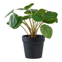 Dirbtinis augalas (aukštis 28 cm) Pelia – House Nordic