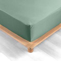 Paklodė iš medvilninio perkelio žalios spalvos su guma 90x190 cm Percaline – douceur d'intérieur