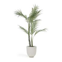 Dirbtinė palmė (aukštis 70 cm) – Kave Home