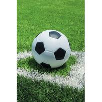 Žalios spalvos fleece tipo vaikiškas pledas 100x150 cm Football – Jerry Fabrics