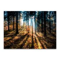 Paveikslas Styler Glasspik Autumn Sunset, 70 x 100 cm