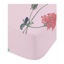 Viengulė vaikų patalynė su guma 90x190 cm Butterfly Garden – RHS