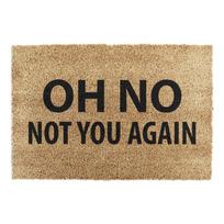 Iš kokoso pluošto grindų kilimėlis 40x60 cm Not You Again – Artsy Doormats