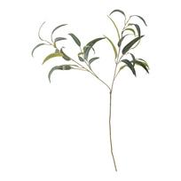 Dirbtinis eukaliptas (aukštis 101 cm) – Bloomingville