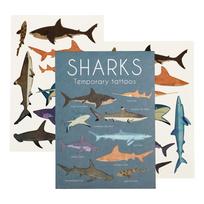 Laikina tatuiruotė 2 vnt. Sharks - Rex London