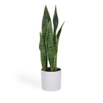Dirbtinis augalas (aukštis 55 cm) Sansevieria – Kave Home