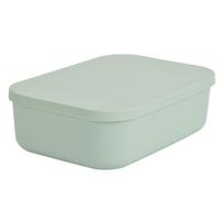 Iš plastiko daiktadėžė šviesiai žalios spalvos su dangčiu 24x18x8 cm – Homéa
