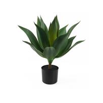 Dirbtinis sukulentas (aukštis 56 cm) – PT LIVING