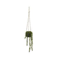 Dirbtinis augalas (aukštis 37 cm) Senecio – Casa Selección