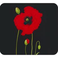 Viryklės sieninis dangtis iš grūdinto stiklo 50x56 cm Poppy - Maximex