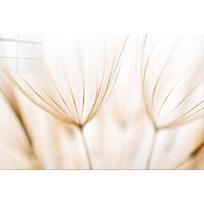 Paveikslas ant stiklo 100x70 cm Fluff - Wallity