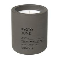 Aromatinė žvakė iš sojų vaško degimo laikas 24 h Fraga: Kyoto Yume – Blomus