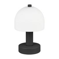 Stalinis šviestuvas juodos ir baltos spalvos (aukštis 19 cm) su stiklo gaubtu Glenn – Reality