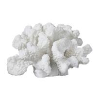 Iš polirezino statulėlė (aukštis 8 cm) Coral – Mette Ditmer Denmark