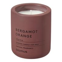 Aromatinė žvakė iš sojų vaško degimo laikas 24 h Fraga: Bergamot Orange – Blomus
