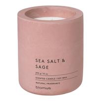Aromatinė žvakė iš sojų vaško degimo laikas 55 h Fraga: Sea Salt and Sage – Blomus