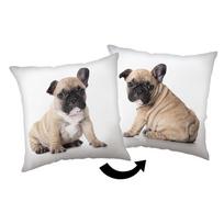 Vaikiška pagalvė 40x40 cm Bulldog – Jerry Fabrics