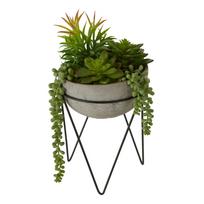 Dirbtinis sukulentas (aukštis 36 cm) Fiori – Premier Housewares