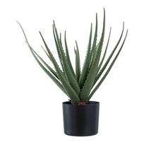 Dirbtinis augalas (aukštis 51 cm) Aloe Vera – House Nordic