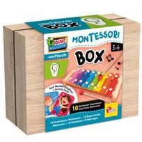Montessori klausos dėžutė Dante Lisciani 105489
