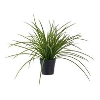 Dirbtinė žolė (aukštis 45 cm) – House Nordic