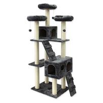 Draskyklė katei Magic Cat Sophia – Plaček Pet Products